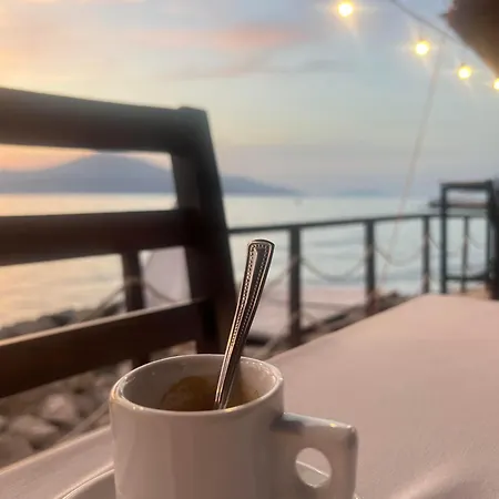 ホームステイ Bruno