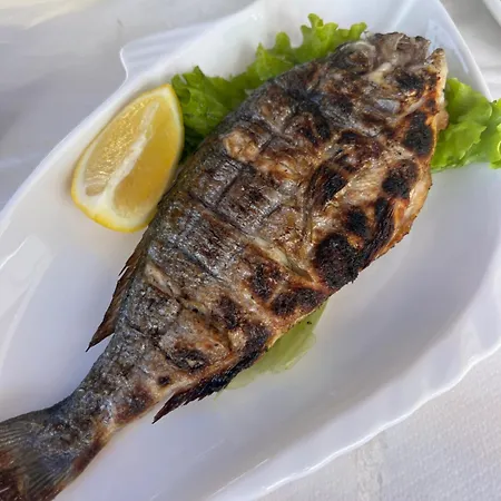 Bruno ホームステイ *