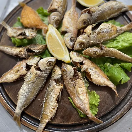 Bruno ホームステイ